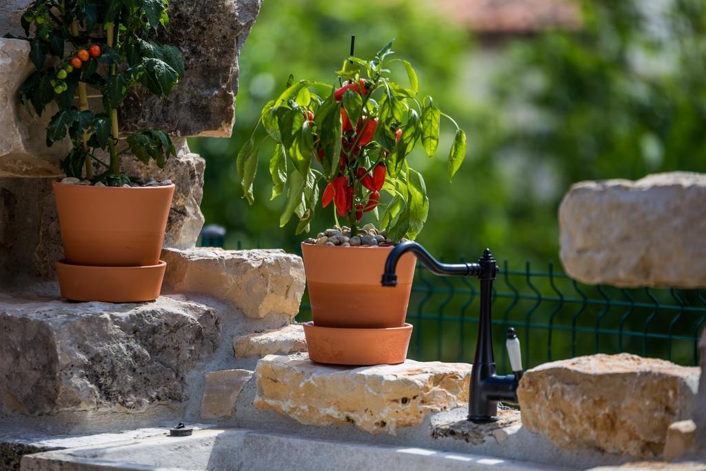 Villa Parenzana Visnjan Ngoại thất bức ảnh
